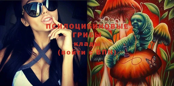 mix Белокуриха