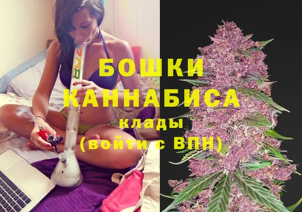 mix Белокуриха