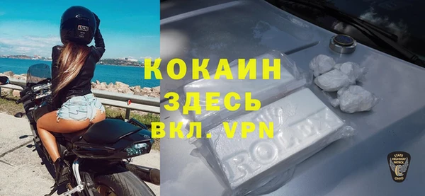 дмт Богородск