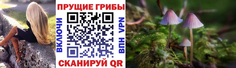 Галлюциногенные грибы Magic Shrooms  mega как войти  Вязники 