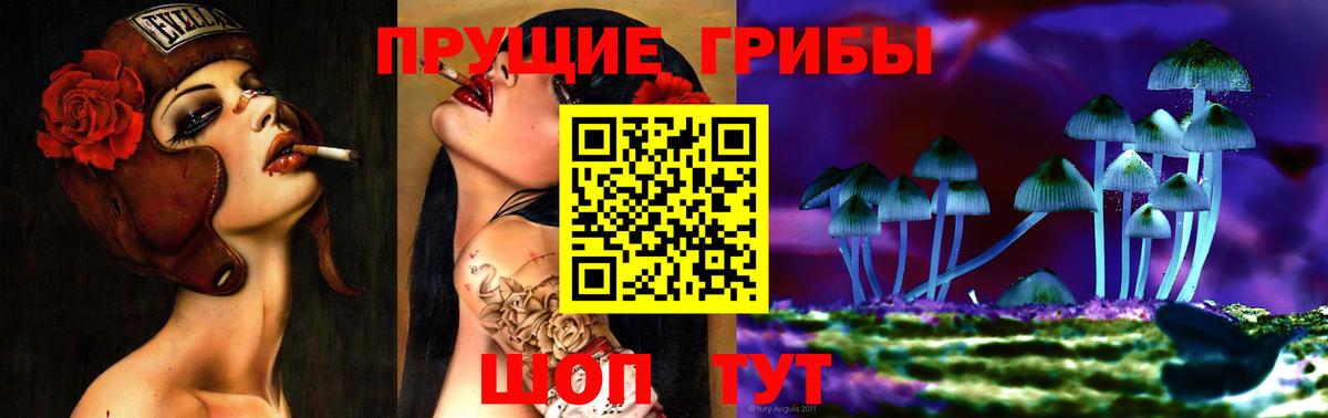 Галлюциногенные грибы прущие грибы  Вязники 